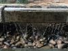 Water Features 2