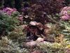 Water Features 8