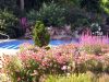 Landscape Architecture 7